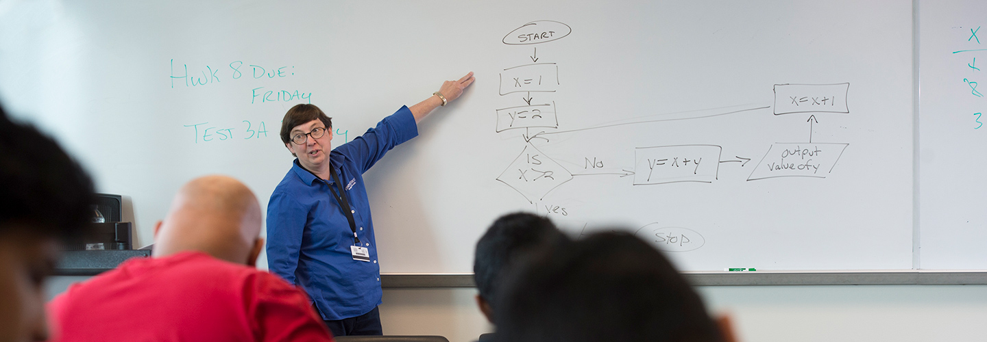 Professor Marie Lee leading classes in Information Systems