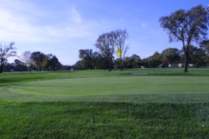 Bright green manicured grass with a hole and yellow flag on the course in the Donald Ross Golf Club